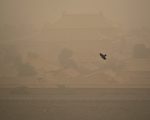 北京遭10年最强沙尘暴袭击 逾400航班取消