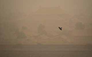 北京遭10年最强沙尘暴袭击 逾400航班取消