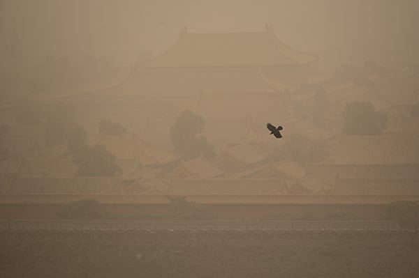 今天（3月15日），北京市被漫天黄沙笼罩，空气污染已达严重污染水平。图为3月15日一直乌鸦飞过北京故宫紫禁城。（WANG ZHAO/AFP via Getty Images）