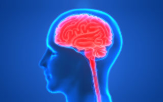 增強記憶力很簡單 9招健腦 防大腦老化