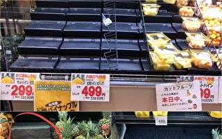 急寻台湾凤梨 日本超市洽询应接不暇