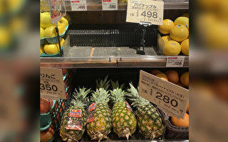 民众急寻台湾凤梨 日本超市应接不暇