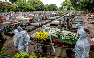 【疫情4.8】巴西單日死亡人數再創紀錄