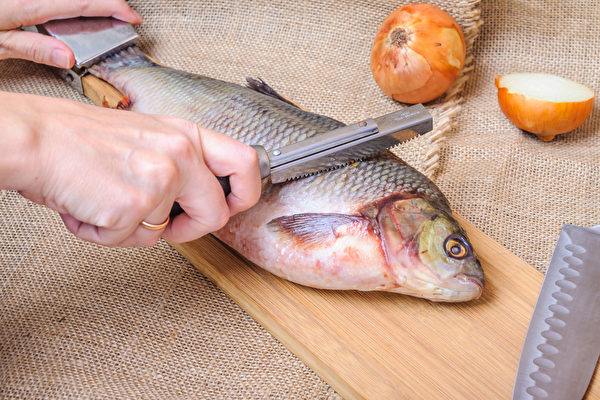 鱼类冷冻前一定要先经过仔细的清洗。先将鱼身上残留的鳞片再仔细刮除。(Shutterstock)