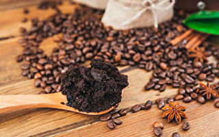 森林也需要咖啡因 咖啡果浆对恢复林地有奇效