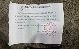 广东养殖政策多变 村民养猪场遭强拆无赔偿
