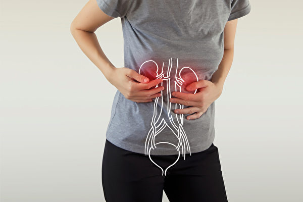 腎臟是沉默的器官，超過九成的輕度腎臟病患者不知道自己的腎臟有問題。(Shutterstock)