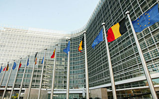 意大利部长：欧盟重审对华关系 确保公平互惠