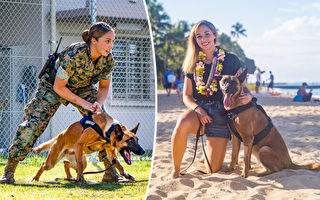 美國海軍陸戰隊女兵收養受傷後退役的軍犬