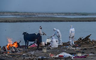印度恒河惊现数十尸体冲上岸 疑染疫亡者