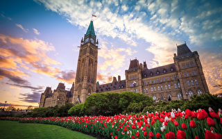 加拿大举办视频晚会 庆祝世界法轮大法日