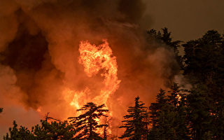 加州异常干燥 纽森提20亿野火紧急资金