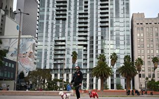加州新提案：商業區建住房 獨立屋區蓋多戶宅