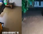 浙江诸暨市遇最强降雨 洪水致2死2失踪