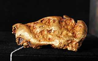 珀斯铸币厂收购西澳产世界最大黄金矿石