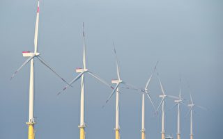 環境專家：加州不能依賴風電