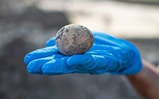 以色列发现保存完整千年鸡蛋 震惊考古学家