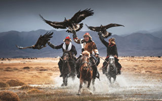 组图：幸存的蒙古驯鹰师与猛禽的深厚情谊