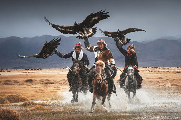 组图：幸存的蒙古驯鹰师与猛禽的深厚情谊
