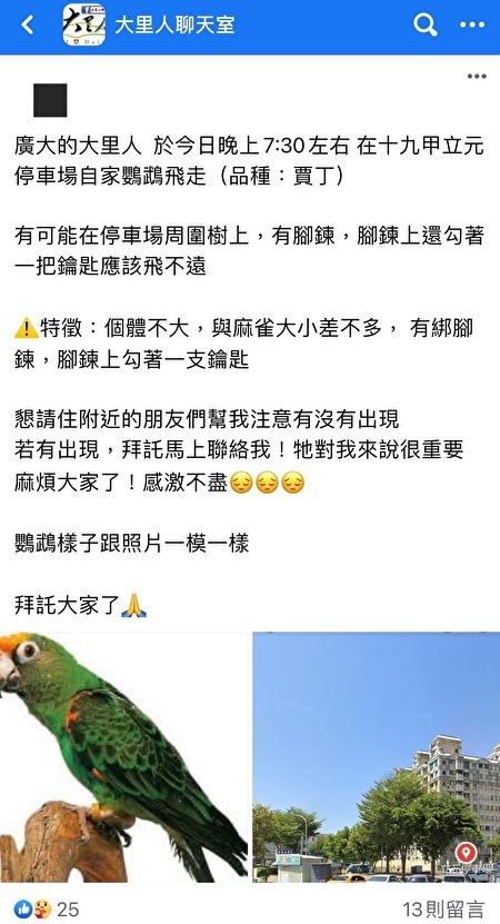 臉書社團「大里人聊天室」，失主陳先生貼文說，寵物鸚鵡飛走了! 
