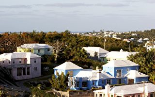 為什麼在百慕達 家家戶戶都有白色屋頂？
