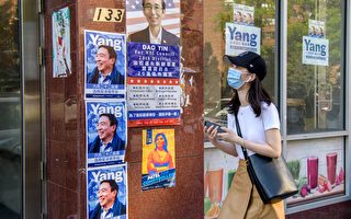 亞美法援處民調：紐約市68%華裔初選投楊安澤