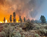 俄勒冈州靴筒野火规模之大 形成独自气候现象