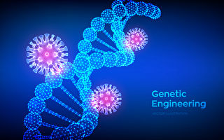 研究：基因編輯工具阻斷中共病毒傳播