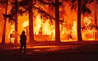 迪克西山火合并弗莱山火 延烧近20万英亩
