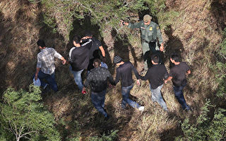 非法移民续增 ICE6月逮捕300多名性犯罪者