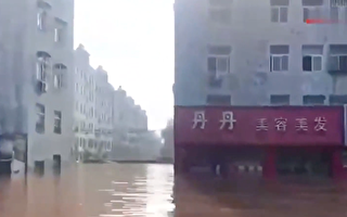 卫辉全城被淹 专家：泄洪在前 决堤在后