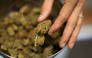 新泽西北部多个城镇  拒绝大麻零售业
