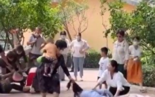 动物模仿游客群殴？北京动物园声明火了