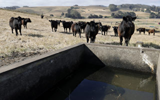 加州干旱至地下水枯竭 更多井不再出水
