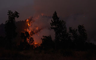 卡爾多山火燒毀超10萬英畝 北加州關閉所有國家森林