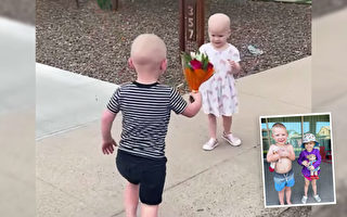 两幼童在医院与癌症抗争 重聚时互赠鲜花与拥抱