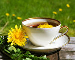 杂草变药草 自制蒲公英茶助消化、增强免疫力