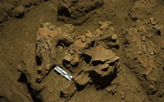 印尼發現7千年前完整遺骸 揭示神祕人類族群