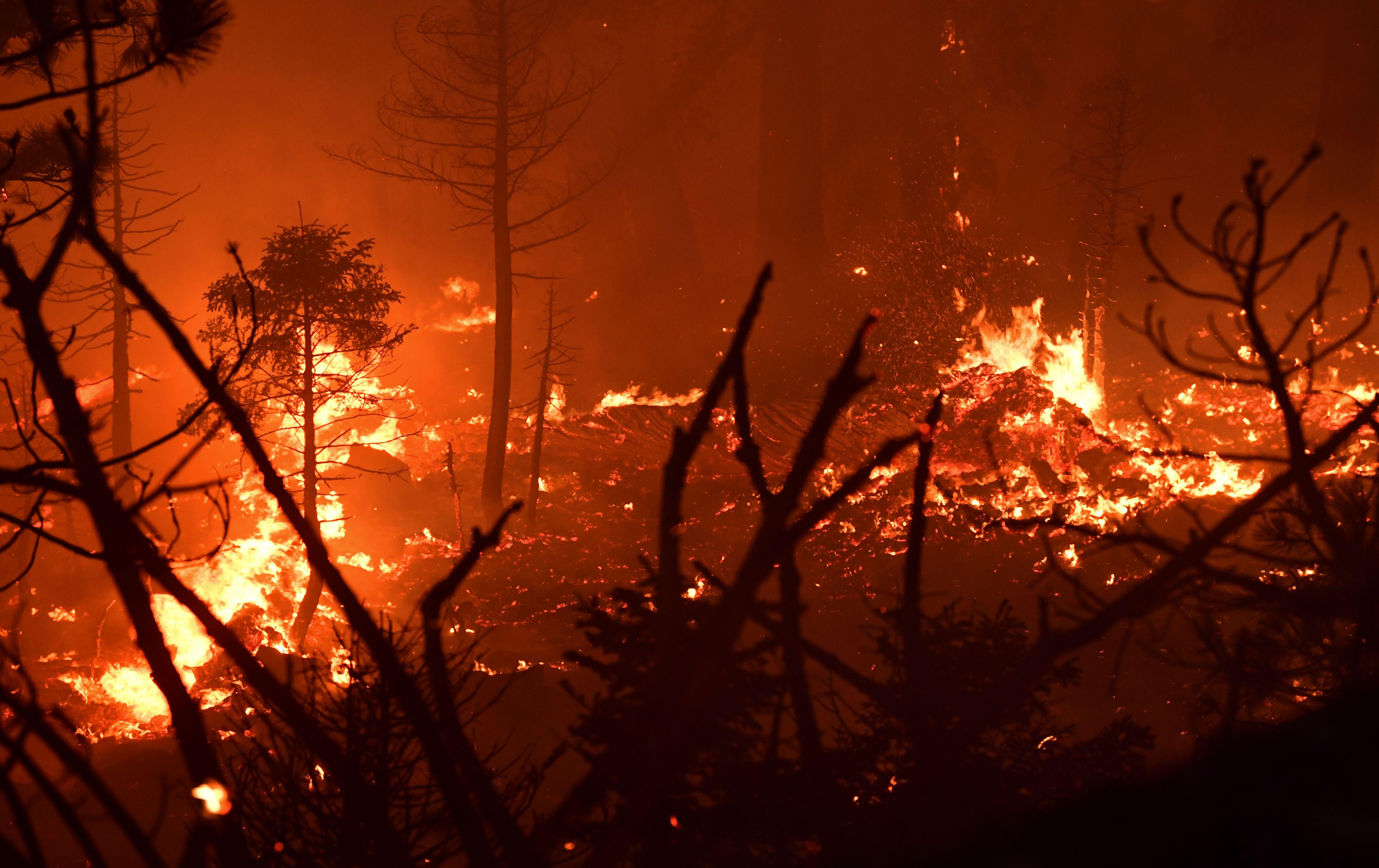 加州秋季乾燥 消防局提醒注意防火