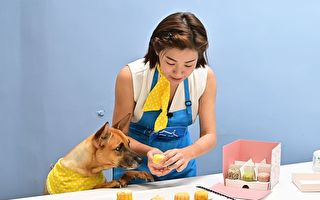 米可白慶中秋製寵物月餅 愛犬聞香飛撲