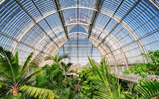 倫敦邱園收藏植物物種近1.7萬 創世界紀錄