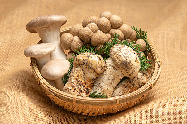 日本长野县为第一长寿县，主要原因应为当地特产的蕈菇类等农作物。(Shutterstock)