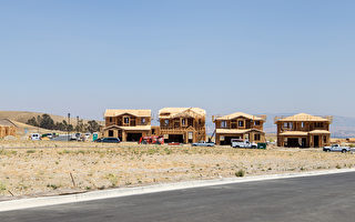 加買房需求依然強勁 專家：新屋建設持續興旺