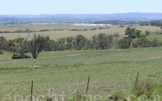 中资持有过2%澳洲农地 尚不足影响经济