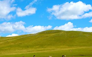 內蒙古的草原