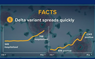 州衛生廳研究：Delta是疫苗效力減退主因