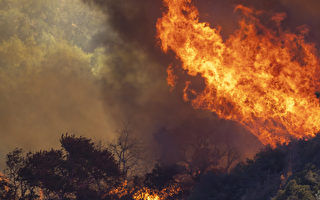 加州火災高峰季節 你應做的兩件事