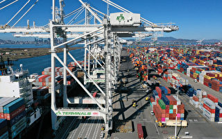 应对全球供应链危机 奥克兰港启用4台大型吊车