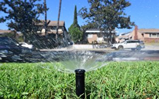 加州迈向第3年严重干旱 纽森宣布更严格节水令