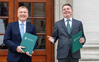 爱尔兰2022年财政预算：社会福利上调